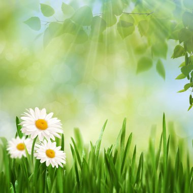 Güzellik öğle zaman 