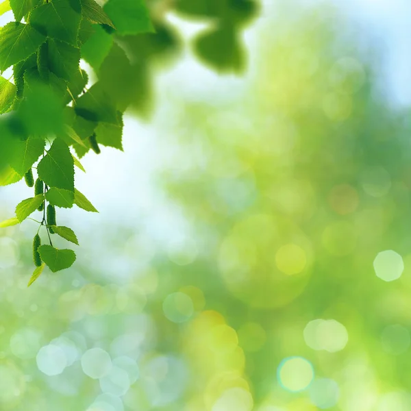 抽象的季节性背景 — 图库照片