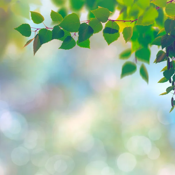 抽象的季节性背景 — 图库照片