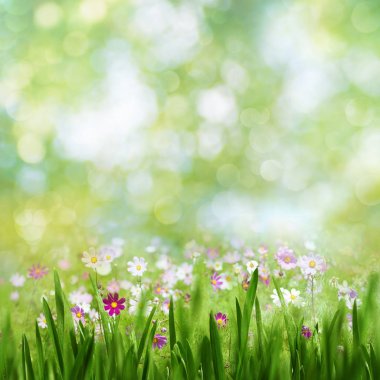 Çiçek açan çiçekler ile manzara