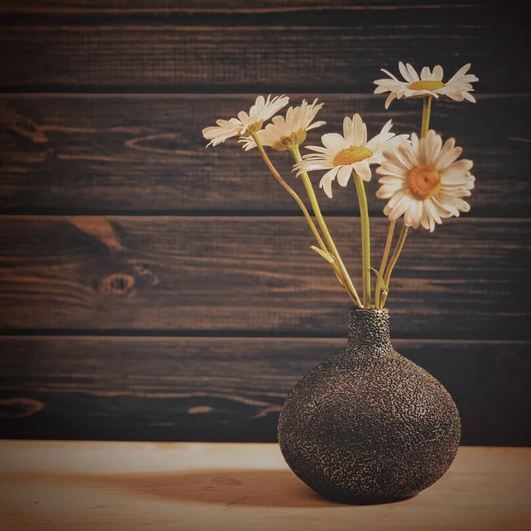 Hermosas flores de margarita — Foto de Stock