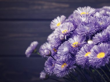 Resepsiyon üzerinde papatya çiçekler