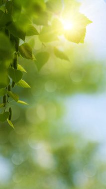 Komik mevsimlik panoramik afiş ile parlak bitki örtüsü ve bokeh