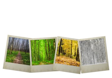 Beyaz arka plan üzerinde izole polaroid fotoğraf