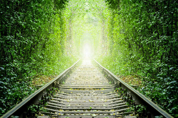 A railway in the spring forest
