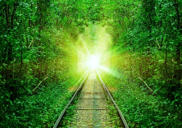 A railway in the spring forest — Stock Photo, Image