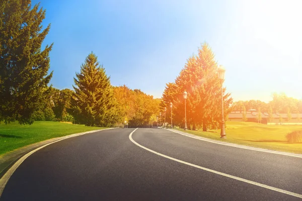 Asphalt road in a field — Stock Photo, Image