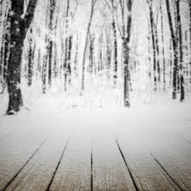 kış orman ağaçları. doğa kar ahşap arka planları.