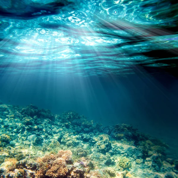 Sous l'eau — Photo