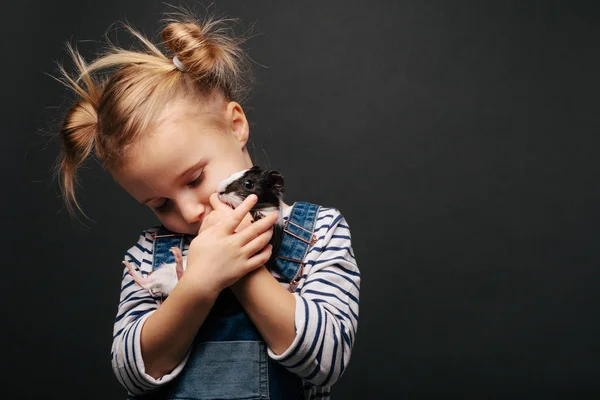 Dívka drží morče v náručí, na černém pozadí. — Stock fotografie