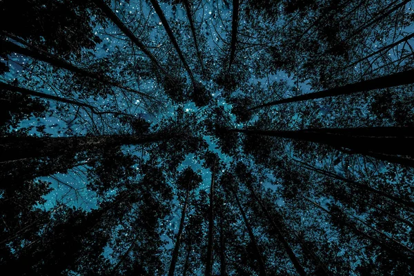 Φόντο Νυχτερινός Ουρανός Αστέρια Και Σύννεφα — Φωτογραφία Αρχείου