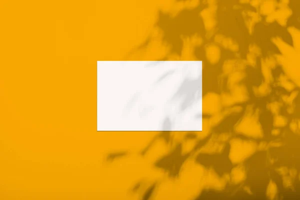 木の影とサフランの黄色の色の壁に白いシート — ストック写真