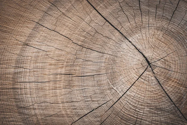 Hintergrund Eines Holzstumpfes — Stockfoto