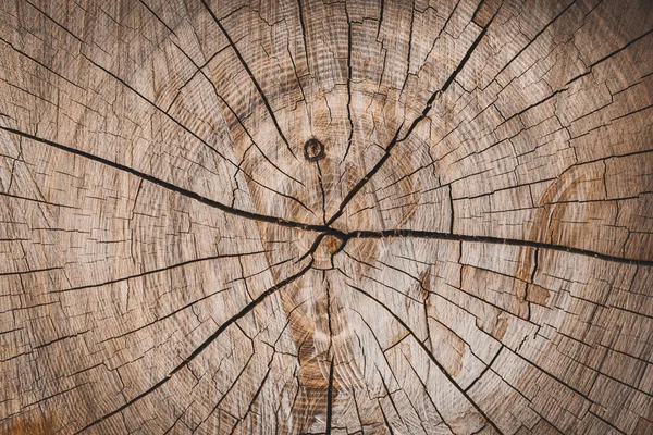 木树桩的背景 — 图库照片