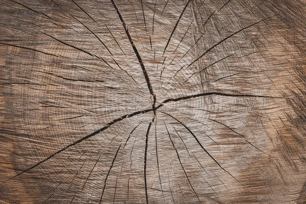 Podłoże Drewniane Kikut — Zdjęcie stockowe