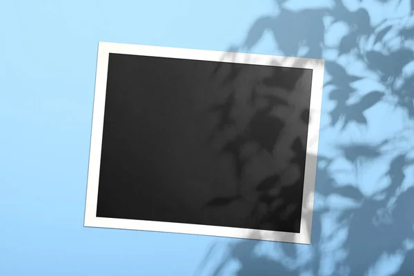 藏红花蓝色的墙上挂着一张白色的照片卡片 上面有一棵树的影子 — 图库照片