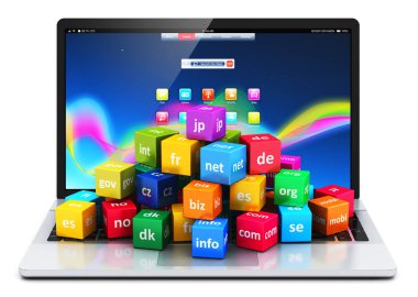 İnternet ve etki alanı adları kavramını