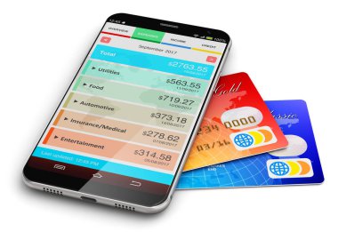 Mali İşler Müdürü app ve banka kredi kartları ile Smartphone