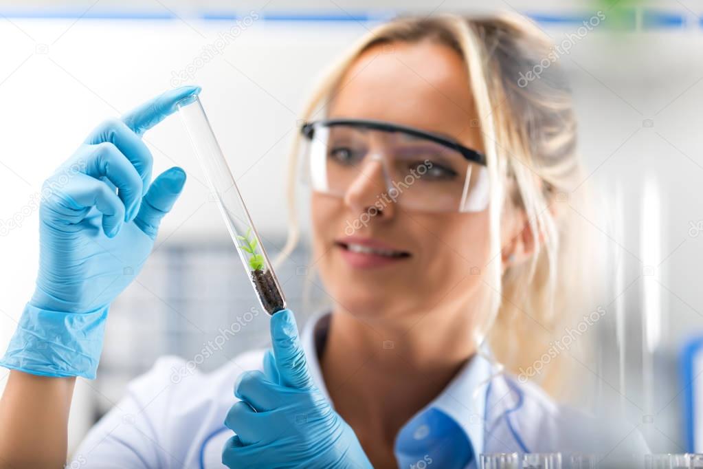 Young attractive female scientist examiming test tube with a pla