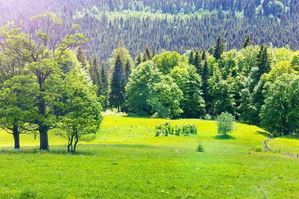 Cárpatos montañas paisaje —  Fotos de Stock