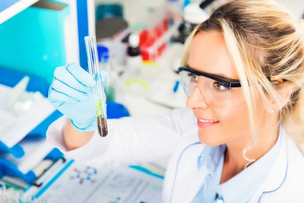 Jovem cientista atraente examinando tubo de ensaio com um pla — Fotografia de Stock