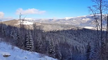 Doğal kış panorama Karpat Dağları'nın karlı zirveleri, aşırı arazi yamaçları ve çam ağacı ahşap orman Ukrayna