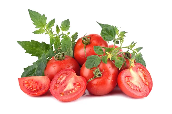 Mogna röda tomater — Stockfoto