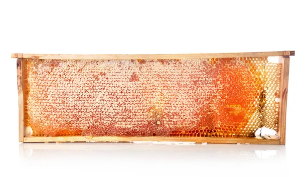 Honey in honeycomb — Stock Photo, Image