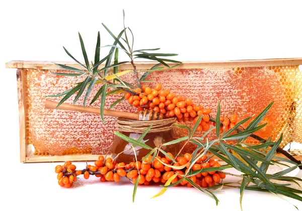 Honey and sea buckthorn — Stock Photo, Image