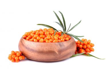 Deniz dikenli üzümleri