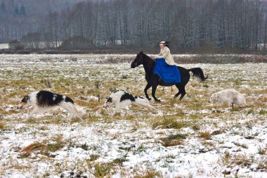 Rusya kurdu ile geleneksel av yeniden inşası