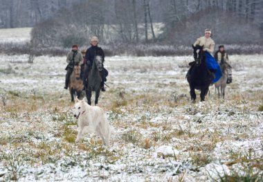 Canlandırma Rus köpekleri ile geleneksel avcılık