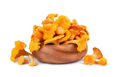 Sarı chanterelles mantar