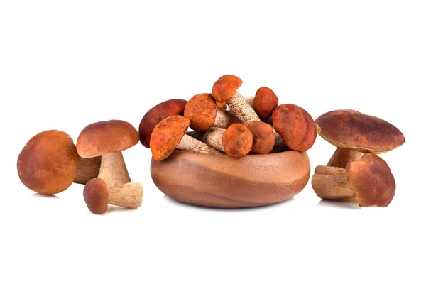 Cogumelos castanhos sobre um fundo branco — Fotografia de Stock