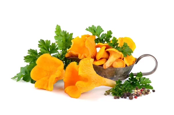 Yellow chanterelles mushrooms — Stock Photo, Image