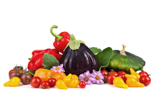 Skupina z podzimní zeleniny — Stock fotografie