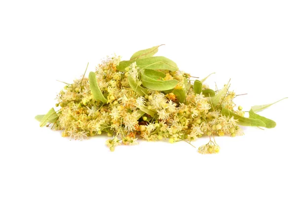 Yellow linden flowers — Stock Photo, Image