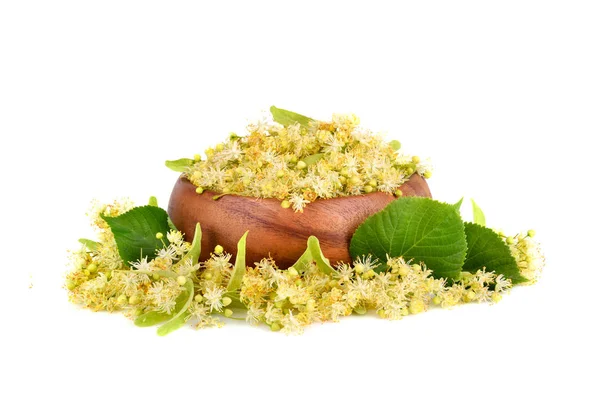 Linden flowers in plate — Stock Photo, Image