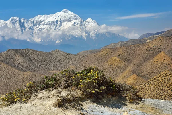 Veduta delle montagne dell'Himalaya — Foto Stock