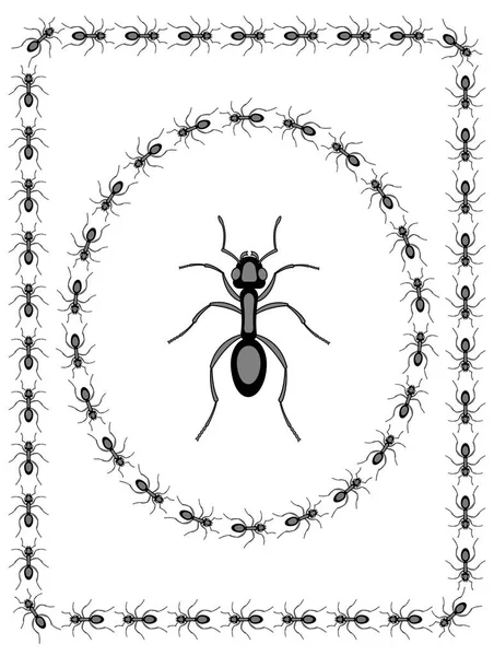 Diseño de insectos hormiga — Vector de stock