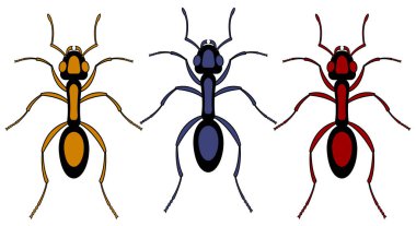 Karınca böcek seti