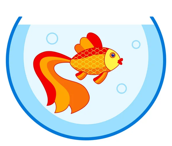 Gold fish in aquarium — Stock Vector