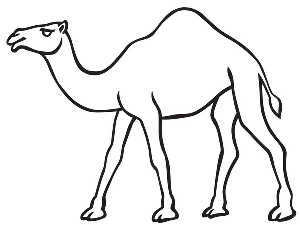 Kamel kontur ikonen — Stock vektor