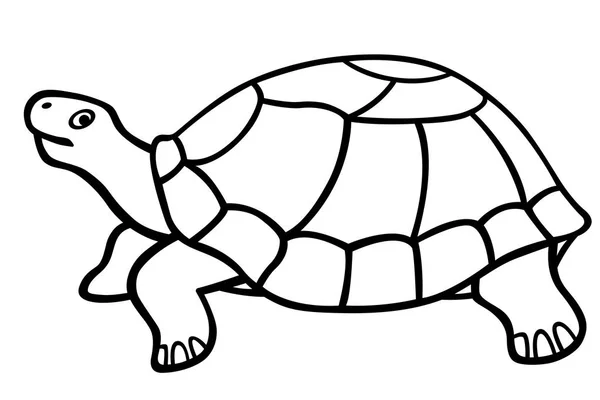 Schildpad contour pictogram — Stockvector