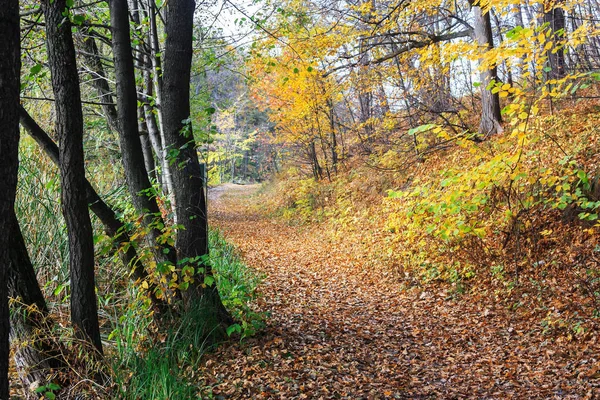 Herfst land landschap — Stockfoto