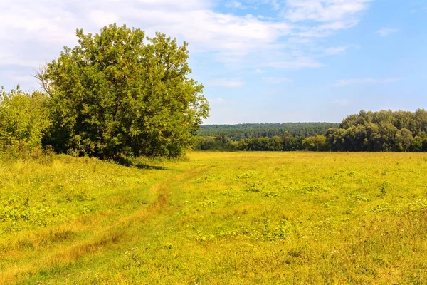 Land Sommerlandschaft — Stockfoto