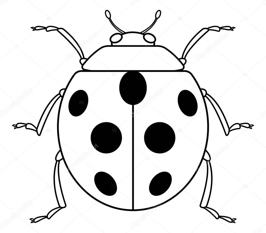 Ladybug contour icon
