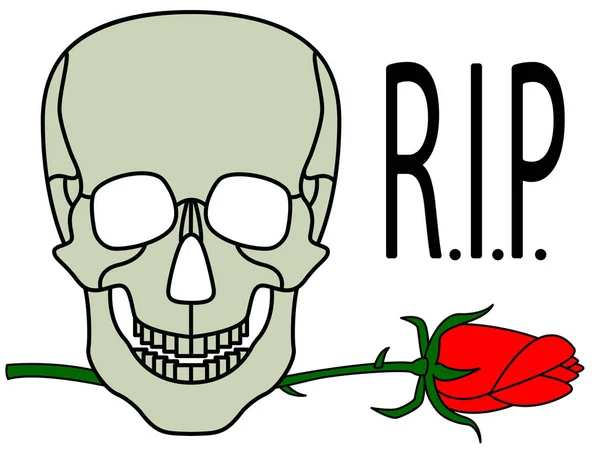 Calavera y rosa — Archivo Imágenes Vectoriales