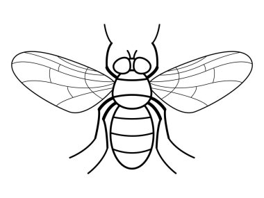 Sinek kontur illüstrasyon