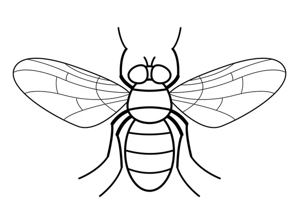 Ilustración del contorno de la mosca — Archivo Imágenes Vectoriales
